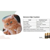 Reflex Plus Persian Yavru Kedi Maması 1.5 kg thumbnail 4