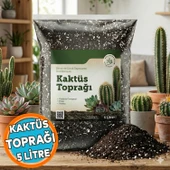 Kaktüs Toprağı (5 LİTRE) Organik Cocopeat Perlit Pomza Karışımlı Kaktüs ve Sukulent Toprağı Toprak thumbnail 1