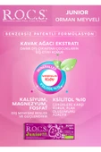 Rocs Junior 6-12 Orman Meyveli Özlü Diş Macunu 74 gr thumbnail 2
