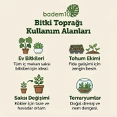 Bitki Bakım Seti 1 Adet 5 Litre Kaktüs Toprağı + 1 Adet 5 Litre Bitki Toprağı Toprak thumbnail 4