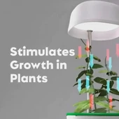 Hızlı Bitki Yetiştirme Saksısı thumbnail 5