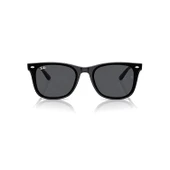 Ray-ban RB4420 601/87 65 Unisex Güneş Gözlüğü thumbnail 2