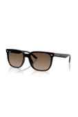 Ray-Ban RB 4466D 714/13 47 Unisex Güneş Gözlüğü thumbnail 5
