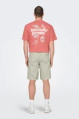 Only & Sons   ONSLOC SHORTS 0157 SHORTS Erkek Moonstruck Şort - OS22029213 thumbnail 7