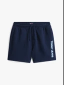 Tommy Hilfiger   TJM RLX NEW CLSSCS BEACH SHORT Erkek Mavi Şort - DM0DM21781 thumbnail 2