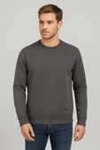 Basic Bisiklet Yaka Relaxed Regular Erkek Sweatshirt - 7478 thumbnail 4