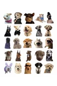 Sevimli Köpek Çıkartmaları Laptop Notebook Tablet Sticker Seti thumbnail 2