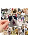 Çılgın Kediler Macbook Notebook Tablet Telefon Ajanda Laptop Defter Sticker Seti thumbnail 1
