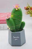 Led Işıklı Kaktüs Biblo Ev Dekorasyon Ve Hediyelik Eşya Led Aydınlatma thumbnail 5
