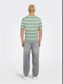 ONSWYLER LIFE REG 14 SS STRIPED KNIT Erkek Yeşil Kazak - OS22032764 thumbnail 5