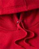 HILFIGER CHEST INSERT HOODY Erkek Kırmızı Sweatshirt - MW0MW37361 thumbnail 7