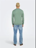 ONSWYLER LIFE REG 14 LS CREW KNIT NOOS Erkek Yeşil Kazak - 22020088 thumbnail 4