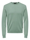 ONSWYLER LIFE REG 14 LS CREW KNIT NOOS Erkek Yeşil Kazak - 22020088 thumbnail 1