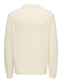 ONSLAW REG LS POLO KNIT FRML Erkek Beyaz Kazak - 22035031 thumbnail 2