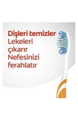 Colgate Extra Clean Dil Temizleyicili Arka Dişlere Uzanan Orta 3'lü Ekonomik Paket Diş Fırçası thumbnail 3