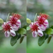 Hoya Variable Density II 82mm ND Filtre (1,5 ↔ 9 Stop) thumbnail 4
