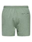 Only & Sons   ONSTED LIFE SOLID SEERSUCKER SWIM NOOS Erkek Iceberg Green Deniz Şortu - 22028813 thumbnail 2