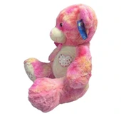 35 CM Burnu Yıldızlı Sevimli Peluş Ayı Yumuşacık Sarılmalık Oyuncak thumbnail 2