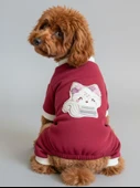 Ruby Foxie Köpek Tulumu – Küçük Irklar İçin Kışlık Köpek Pijaması thumbnail 2