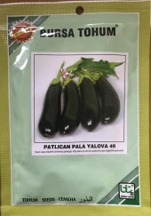 PALA PATLICAN YALOVA 49 (SİYAHIMSI MOR) 25 GR TAKRİBİ 5000 ADET TOHUM thumbnail 1