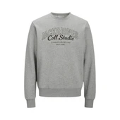 Jjmakoto Erkek Sweat Crew Neck Erkek Sweat 12278601 Print:Small Print/Antique White thumbnail 7