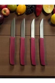 Gül Çelik 12 Li Paslanmaz Çelik Sebze Ve Meyve Bıçağı Pembe thumbnail 1