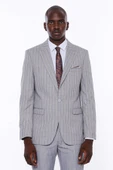 Çizgili Ceket Pantolon Düz Gri Erkek Takım Elbise - Wessi thumbnail 5