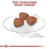 Royal Canin Mini Junıor Küçük Irk Yavru Köpek Maması 2Kg - 3