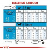 Royal Canin Mini Junıor Küçük Irk Yavru Köpek Maması 2Kg - 4