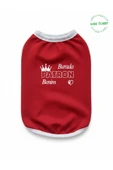 Gobo Burada Patron Benim Yazılı Kırmızı Kedi ve Köpek Kıyafeti Elbisesi XSMALL/XS/Beden 0 thumbnail 6