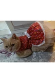 Gobo Rengarenk Çiçekli Fiyonklu Kedi ve Köpek Kıyafeti Elbisesi XSmall/XS/Beden 0 thumbnail 1