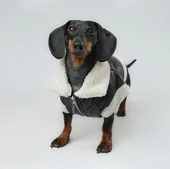 Joyline Fermuarlı Kürklü Deri Köpek Kıyafeti Siyah Large thumbnail 5