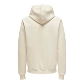 Kapüşonlu Erkek Sweatshirt 22030626 thumbnail 3