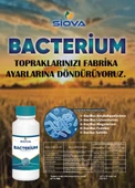 Siova Bacterium Mikrobiyal Gübre 1Lt thumbnail 5