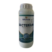 Siova Bacterium Mikrobiyal Gübre 1Lt thumbnail 1