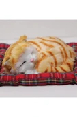 Dörtel Tedarik Peluş Yavru Kedi Oyuncak Minder Üstünde Uyuyan Kedi Küçük Boy 10 x 11 thumbnail 2
