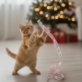 Yılbaşı Temalı Kedi Oyun Oltası thumbnail 2