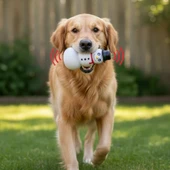 Sesli Kardan Adam Tasarımlı Oyuncak thumbnail 3