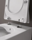 Elegant Duroplast Yavaş Kapanan Klozet Kapağı Mat Antrasit thumbnail 6