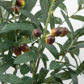 3lü Set Yapay Zeytin Dalı Uzun Dal 85cm thumbnail 5