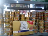 PRO PLAN Yeni Multi Paket Gourmet Gold Kıyılmış Kedi Konserve Ton Balıklı 9 Alana 3 Bedava 85 gr x 12 Adet thumbnail 1