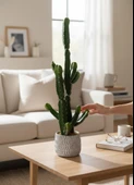 Yapay Kaktüs Euphorbia İngens Şamdan Ağacı Beton Saksıda Yapay Bitki 70cm thumbnail 4