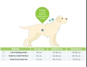 Max Molly Duckling Köpek Bornozu Mavi Medium thumbnail 5