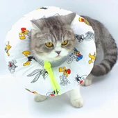 Lepus Kedi Köpek Yakalık Tavşan Figürlü Small No:3 thumbnail 1