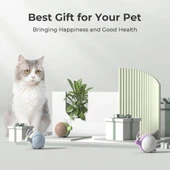 Cheerble Şarjlı Akıllı İneraktif Kedi Salyangoz Oyuncağı Mavi 7X5X5,8 Cm thumbnail 6