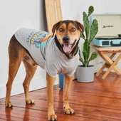 GF Pet Graphic Tee Köpek Tshirt Gri Medium thumbnail 5