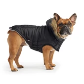 GF PET Urban Parka Köpek Montu Siyah Large thumbnail 3