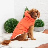 GF PET Arctic Parka Köpek Montu Turuncu Large thumbnail 4