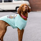 GF Pet Graphic Tee Köpek Tshirt Aqua XXLarge thumbnail 3