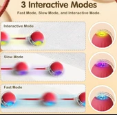 Lepus İnteraktif Şarjlı Kedi Oyuncağı thumbnail 6